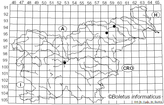 <i>Cortinarius divulgatus</i> Britzelm.