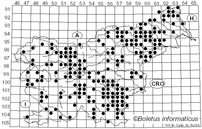 <i>Bjerkandera</i> P. Karst. (1879)