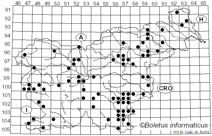 <i>Abortiporus</i> Murrill (1904)