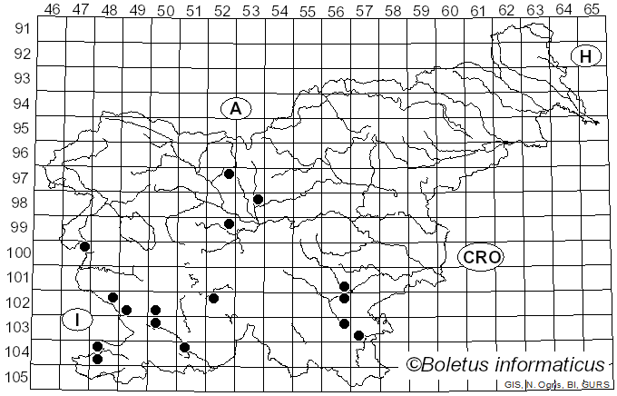 <i>Tricholosporum goniospermum</i> (Bres.) Guzmán (1975)