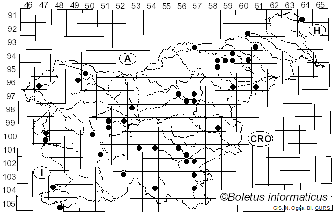 <i>Coprinopsis lagopus</i> (Fr.) Redhead, Vilgalys & Moncalvo (2001)