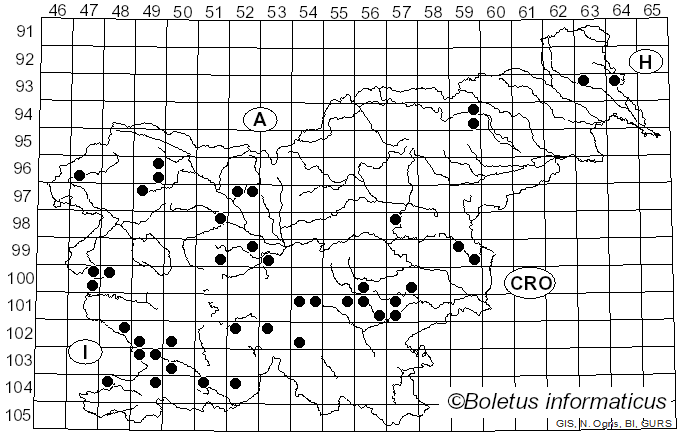 <i>Cortinarius cotoneus</i> Fr. (1838)