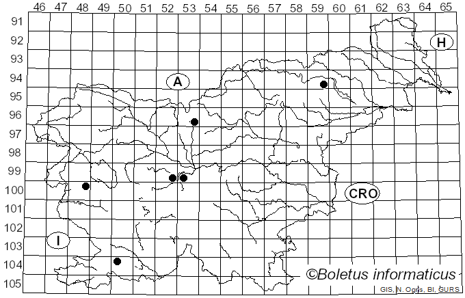 <i>Ophiostoma</i> Syd. & P. Syd. (1919)