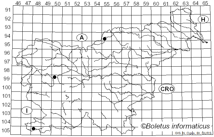 <i>Athalia liberta</i> (Klug, 1815)
