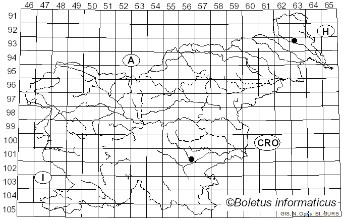<i>Psalliota sagata</i> (Fr.) S. Petersen (1911)