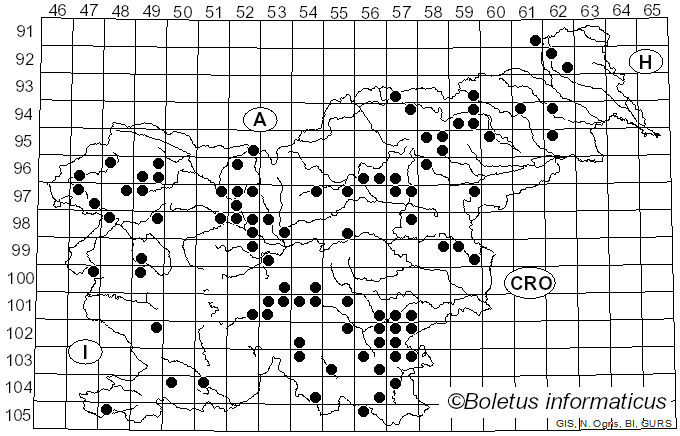 <i>Galerina marginata</i> (Batsch) Kühner (1935)