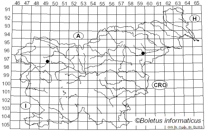 <i>Phytophthora cambivora</i> (Petri) Buisman (1927)