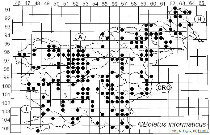 <i>Lycogala</i> Pers. (1794)