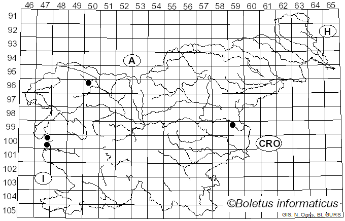 <i>Lamprospora</i> De Not. (1863)