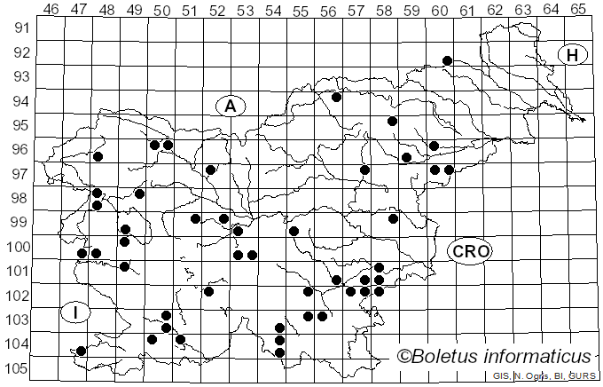 <i>Datronia</i> Donk (1967)