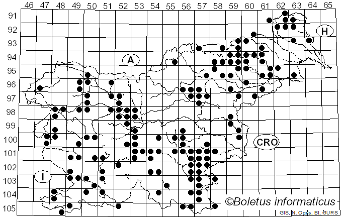 <i>Daedaleopsis tricolor</i> (Bull.) Bondartsev & Singer (1941)