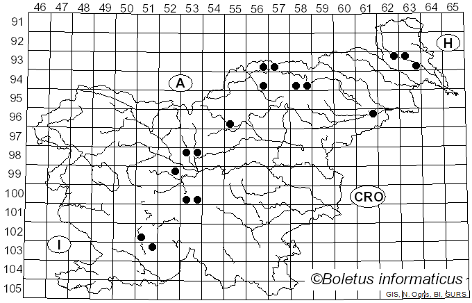 <i>Sawadaea</i> Miyabe (1914)