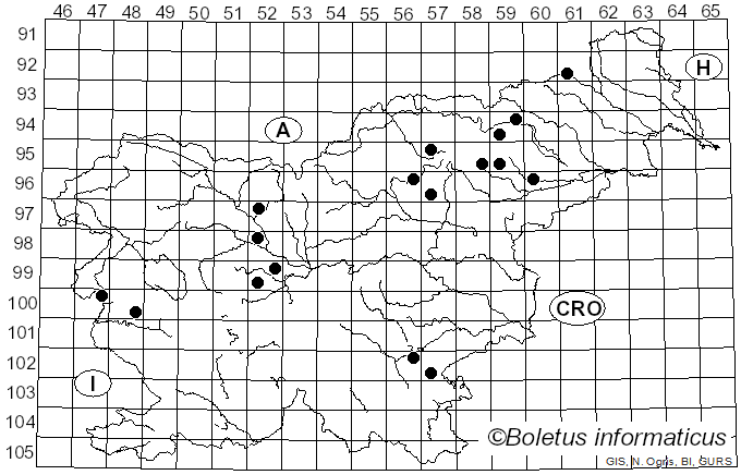 <i>Russula ochracea</i> (Alb. & Schwein.) Fr.