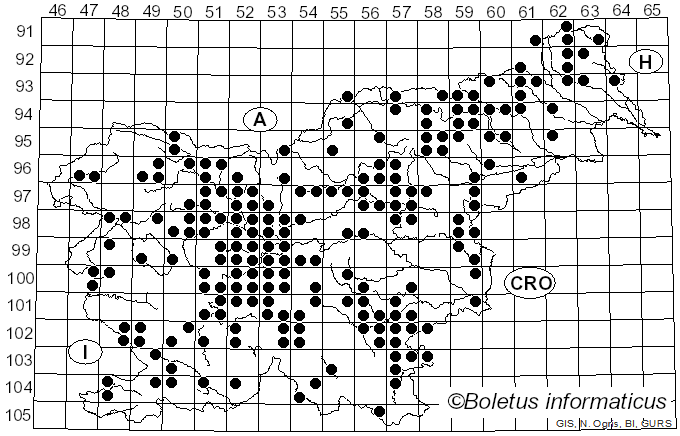 <i>Lactarius deliciosus</i> (L.) Gray (1821)