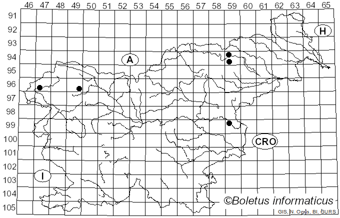 <i>Atheniella flavoalba</i> (Fr.) Redhead, Moncalvo, Vilgalys, Desjardin & B.A. Perry (2012)