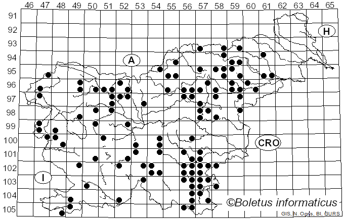 <i>Caloboletus</i> Vizzini (2014)