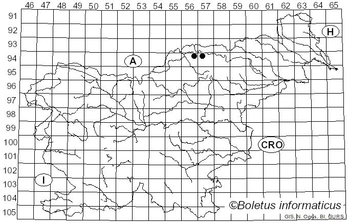 <i>Phaeophyscia pusilloides</i> (Zahlbr.) Essl. (1978)