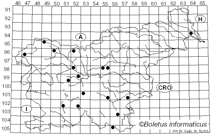 <i>Neonectria</i> Wollenw. (1917)
