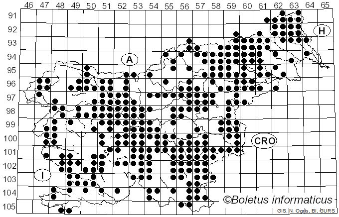 <i>Macrolepiota</i> Singer (1948)