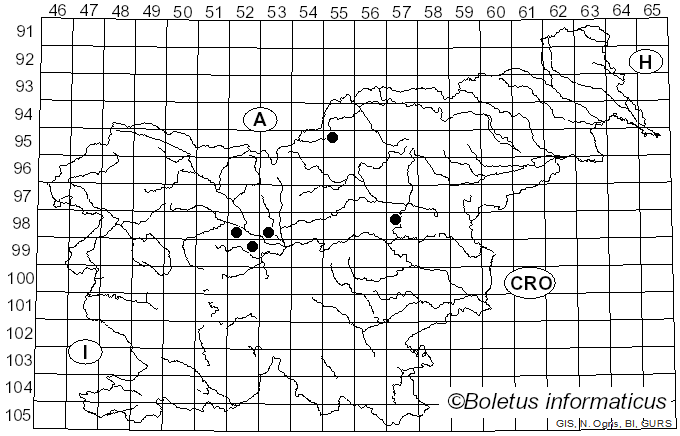 <i>Passalora depressa</i> (Berk.) Sacc. (1876)