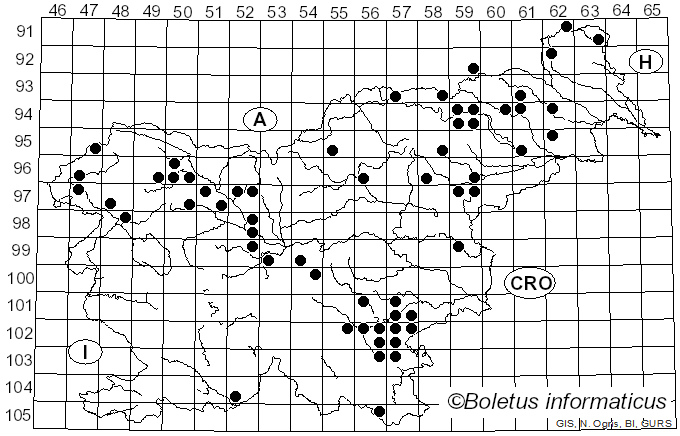 <i>Mucidula</i> Pat. (1887)