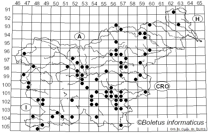 <i>Butyriboletus fuscoroseus</i> (Smotl.) Vizzini & Gelardi (2014)