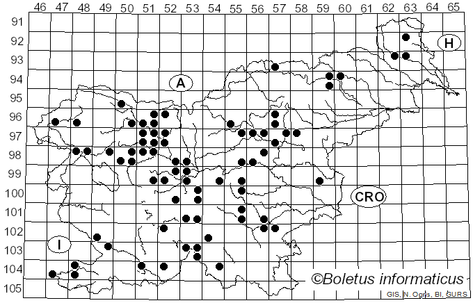 <i>Hydnum repandum</i> f. <i>amarum</i> Stropnik, Tratnik & Seljak (1988)