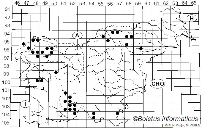 <i>Caloplaca cerina</i> var. <i>cerina</i> (Ehrh. ex Hedw.) Th. Fr. (1861)