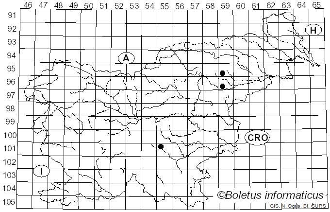 <i>Cortinarius rigidipes</i> M.M. Moser (1968)