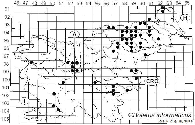 <i>Russula roseipes</i> Secr. ex Bres.