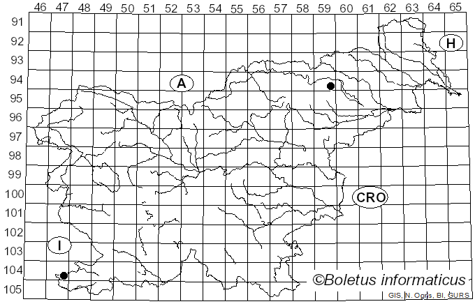 <i>Hodophilus atropunctus</i> (Pers.) Birkebak & Adamčík (2016)