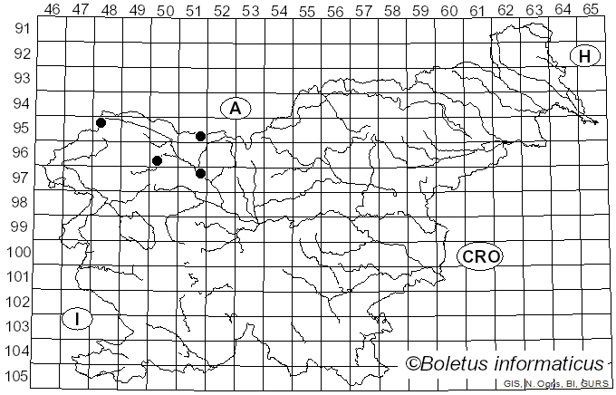 <i>Pucciniastrum goeppertianum</i> (Kuehn) Kleb. (1904)