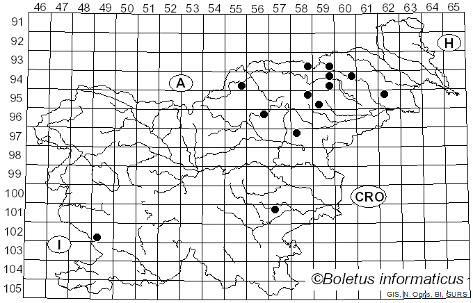 <i>Phlegmacium fraudulosum</i> (Britzelm.) Niskanen & Liimat. (2022)