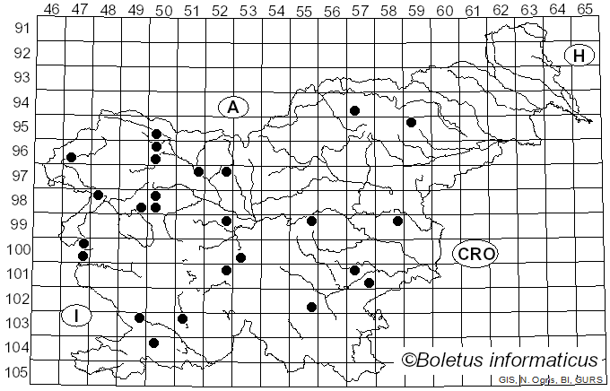 <i>Mollisia cinerea</i> (Batsch) P. Karst. (1871)