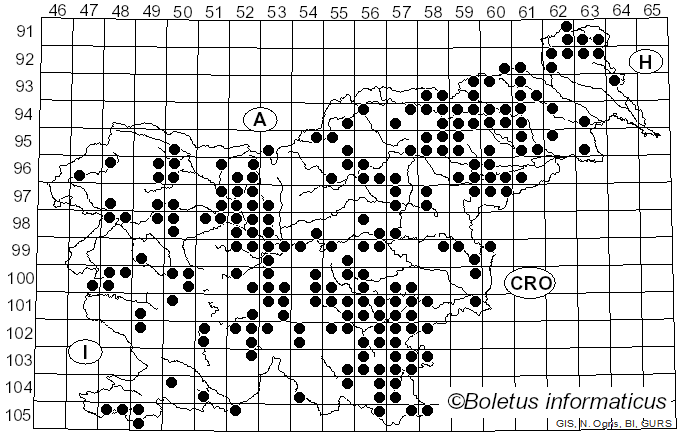 <i>Trichaptum</i> Murrill (1904)