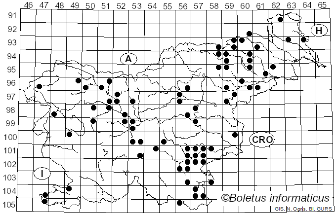 <i>Panus neostrigosus</i> Drechsler-Santos & Wartchow (2012)
