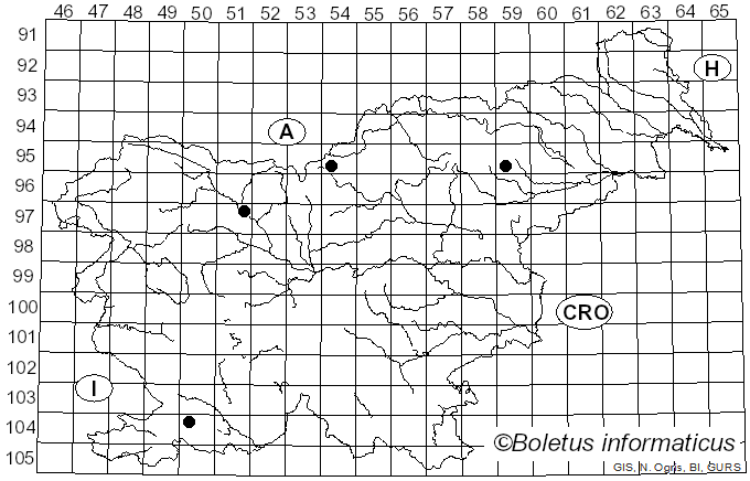 <i>Clavaria straminea</i> Cotton (1910)