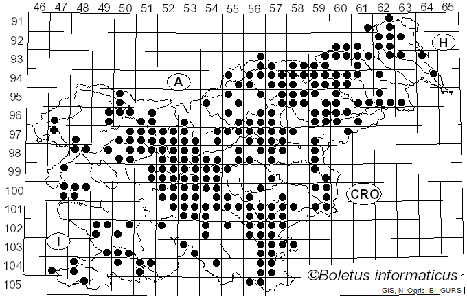<i>Scleroderma citrinum</i> Pers. (1801)