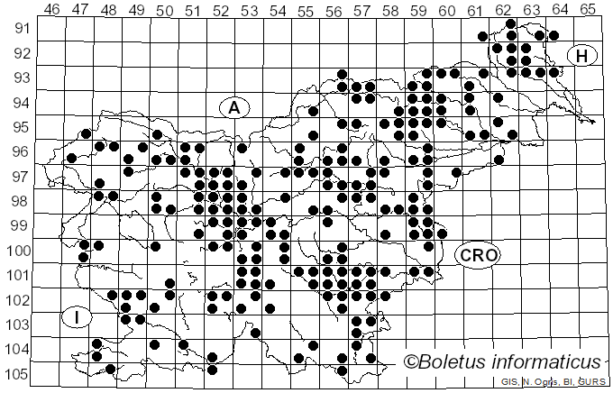 <i>Craterellus cornucopioides</i> (L.) Pers. (1825)