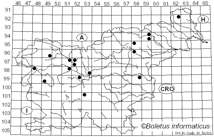 <i>Tricholoma pseudonictitans</i> Bon (1983)
