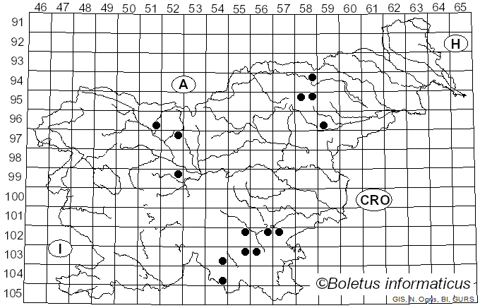 <i>Aleurodiscus amorphus</i> Rabenh. (1888)