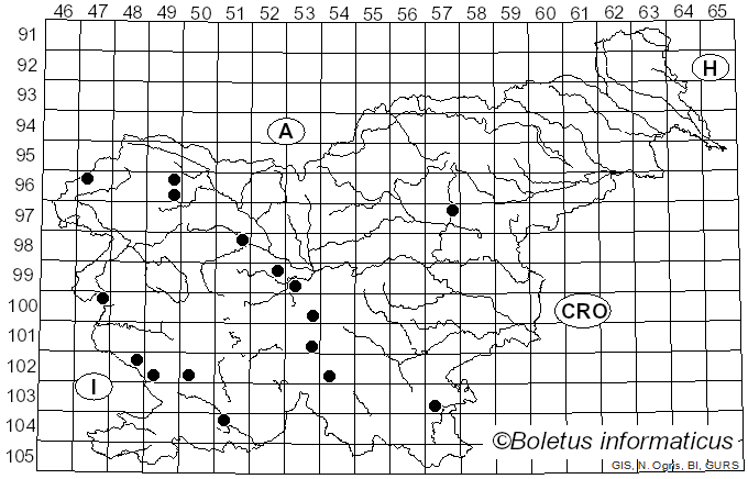 <i>Aspropaxillus candidus</i> (Bres.) M.M. Moser (1953)