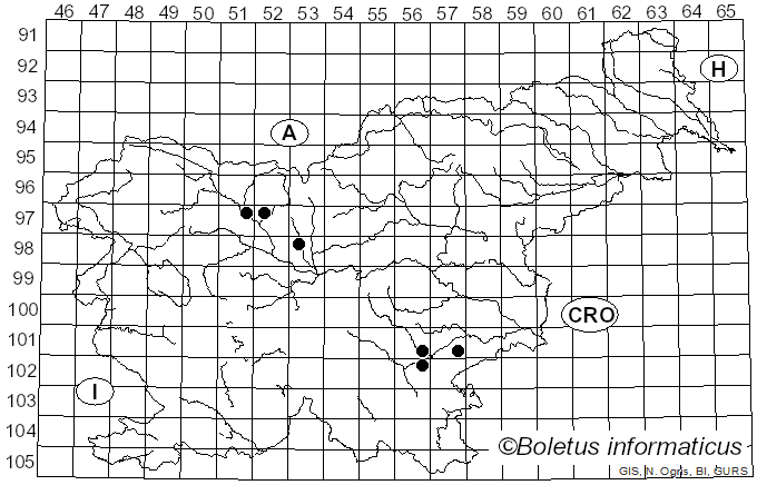 <i>Tephrocybe putida</i> (Fr.) M.M. Moser (1967)