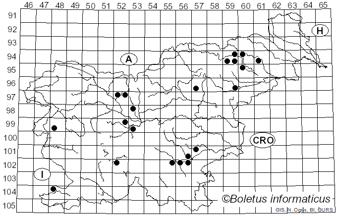 <i>Echinoderma hystrix</i> (F.H. Møller & J.E. Lange) Bon (1991)