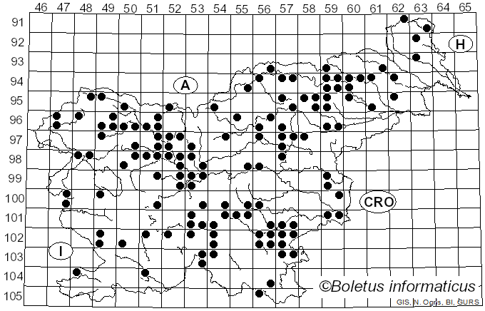 <i>Lactarius aurantiacus</i> (Pers.) Gray (1821)