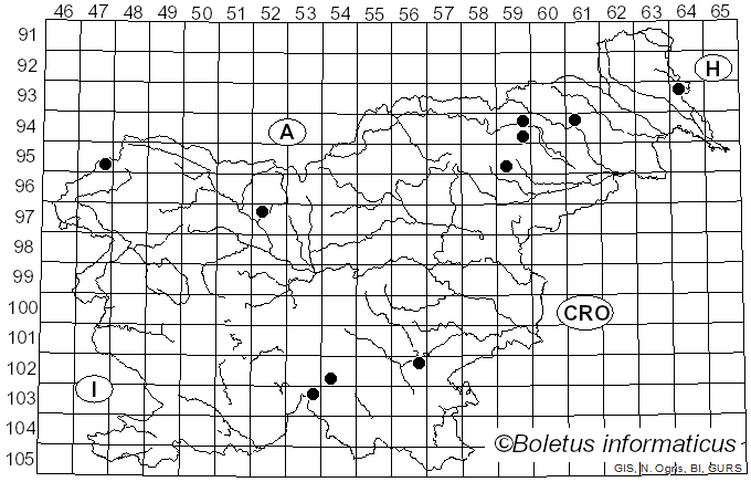 <i>Cortinarius glaucopus</i> var. <i>acyaneus</i> (M.M. Moser) Nezdojm. (1983)