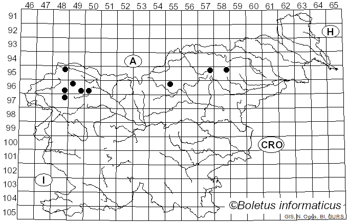 <i>Alectoria sarmentosa</i> subsp. <i>sarmentosa</i> (Ach.) Ach. (1810)