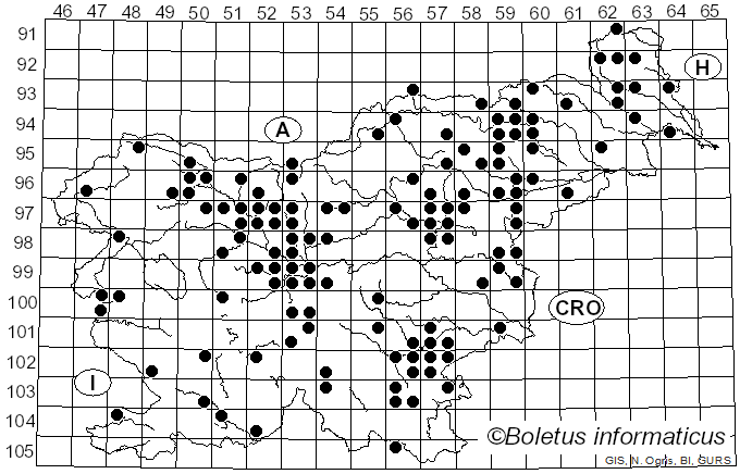<i>Coprinopsis atramentaria</i> (Bull.) Redhead, Vilgalys & Moncalvo (2001)