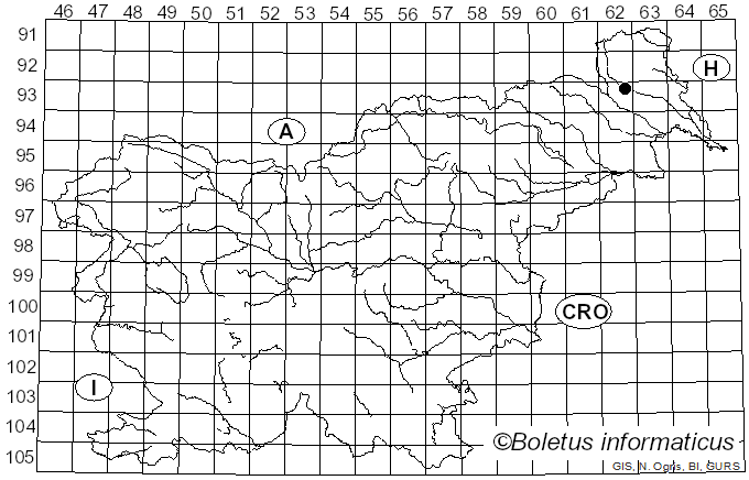 <i>Amanita supravolvata</i> Lanne (1979)