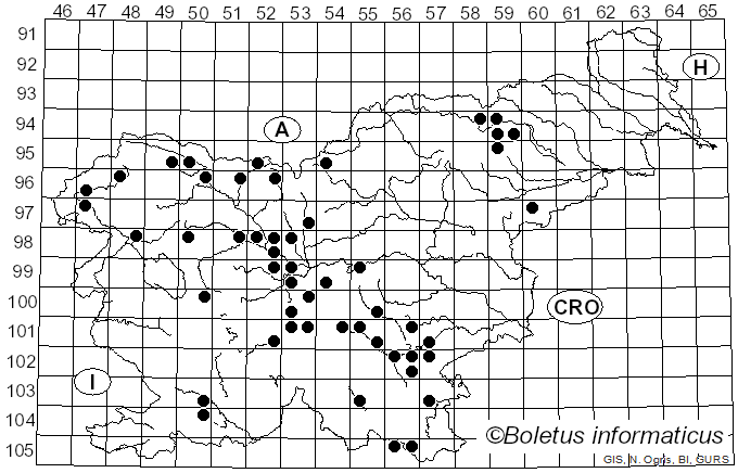 <i>Tubifera ferruginosa</i> (Batsch) J.F. Gmel. (1792)